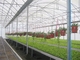 โรงเรือนผักเกษตรโครงสร้างเหล็กเบาสำเร็จรูป Q235 ISO9001