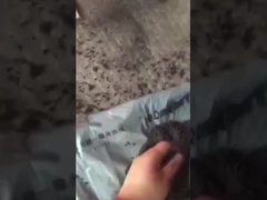 วิดีโอการทํางานของปูนปุ๋ยลูกบอล