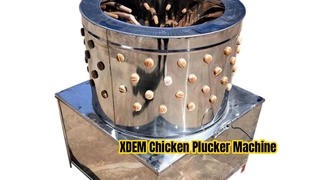 XDEM เครื่องถอนขนไก่เชิงพาณิชย์ 60 บาร์เรลเครื่องถอนขนสัตว์ปีกสแตนเลสสำหรับเป็ดไก่