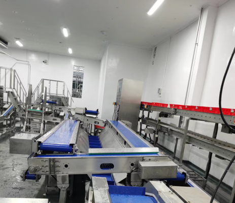 Poultry Processing Machine PLC Control 3-5KW Motor Power High Efficient Chicken Duck Goose Slaughtering Production Line CE Certified